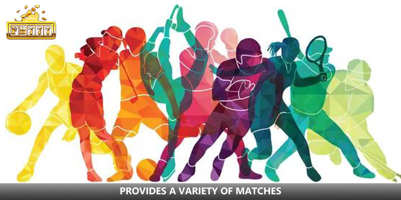 provides a variety of matches